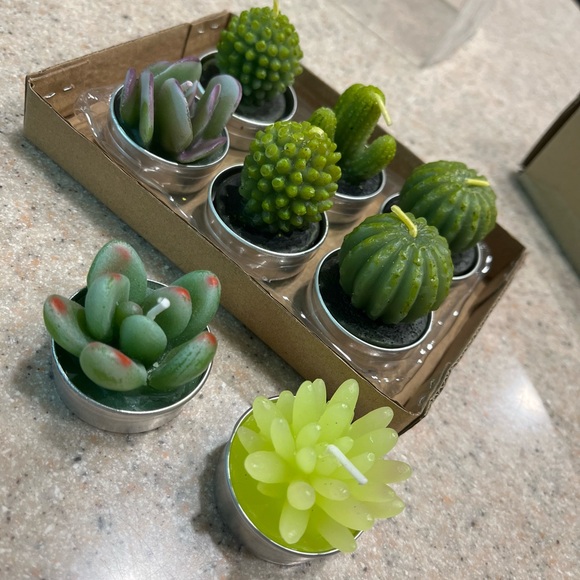 Miniature Candles 🌵 Set of 7 Miniature Succulent Candles - Picture 5 of 5
